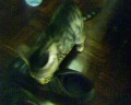 17-09-05_1510.jpg