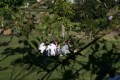 O que torna este evento especial - O sol...