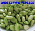 Onde está o Tereso?