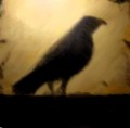 corvo