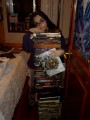 Tower of Books