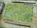 dsc05157