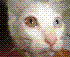 Retrato de gargarin