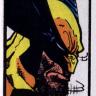 Retrato de wolverine222