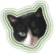 Retrato de Tintazul