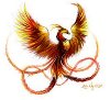 Retrato de Phoenix