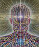 Retrato de psilo
